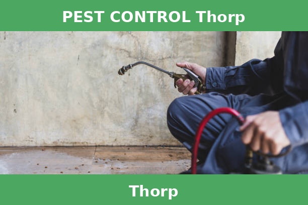 PEST CONTROL Thorp
